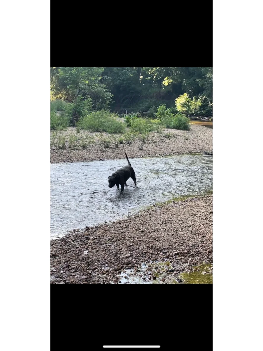 May 17, 2022: Exploring Zonolite Park in Atlanta