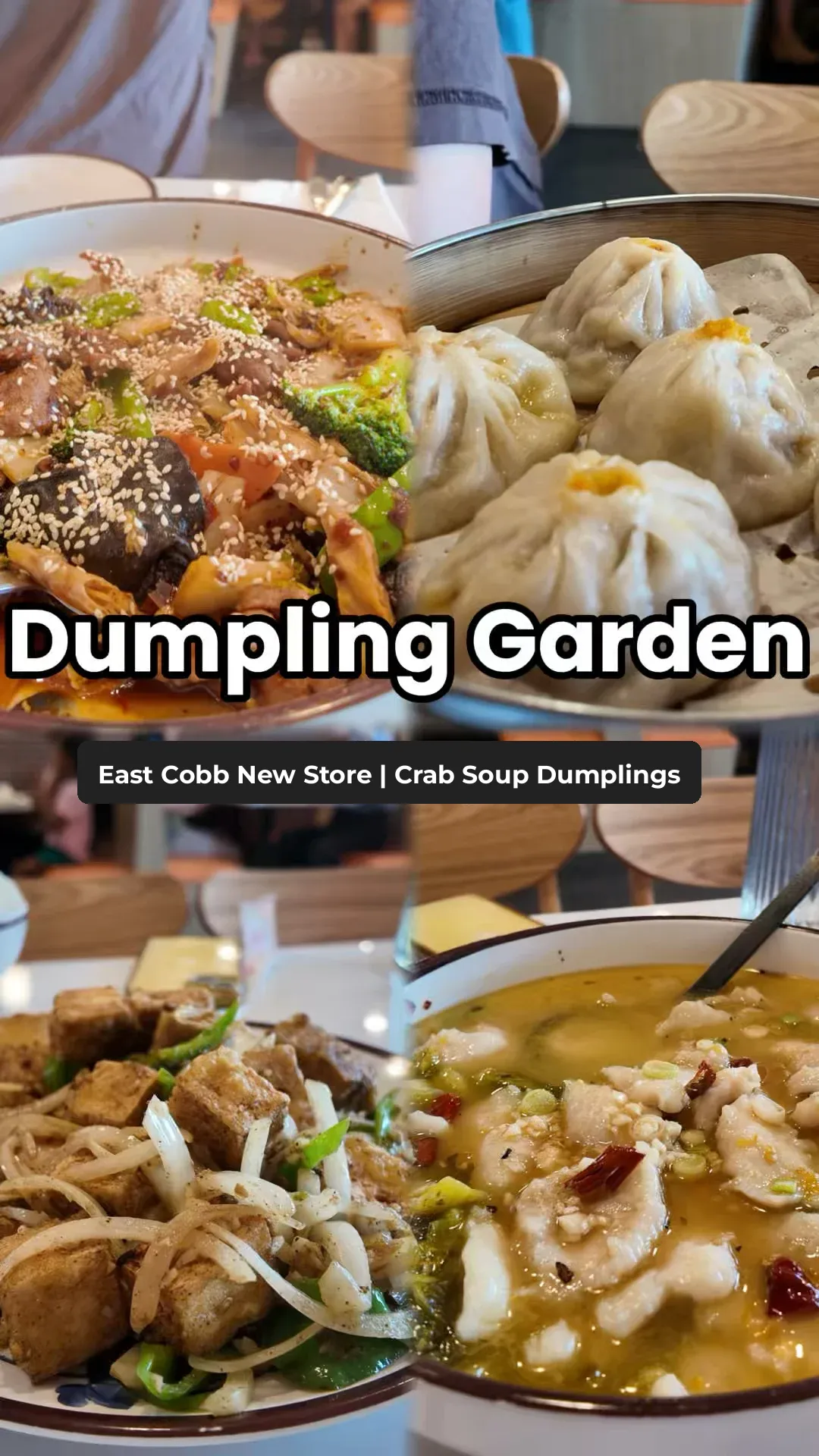 New Dumpling Garden Opens in East Cobb, Atlanta