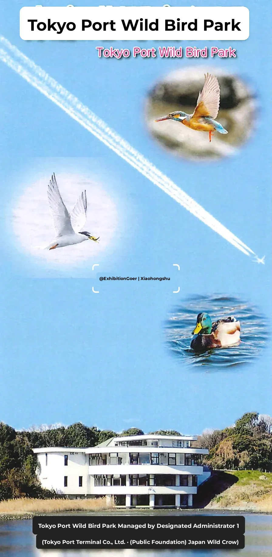 Tokyoites Day❗️Free Admission to Exhibitions and Gardens‼️🤗