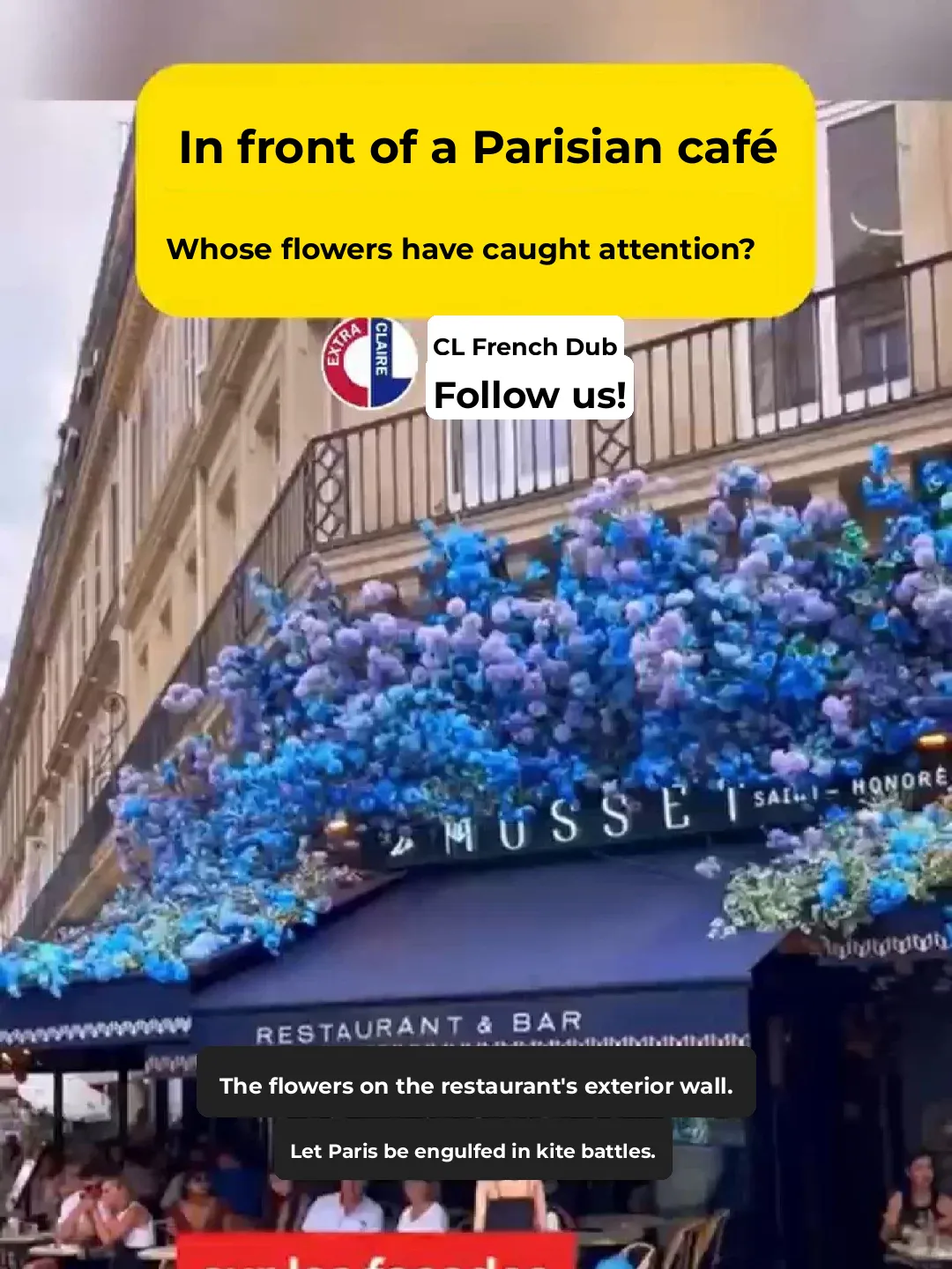 Parisian Flower Displays Outside Cafés Banned by City Hall?