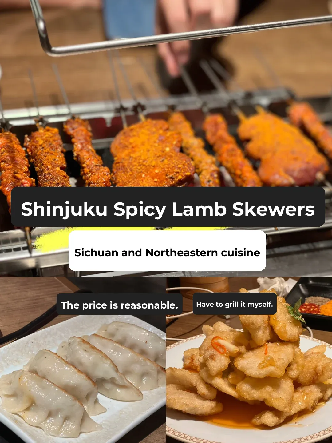 🇯🇵 Tokyo Shinjuku | Lamb Skewers, Sichuan Cuisine, and Northeastern Chinese Food - Not Bad!