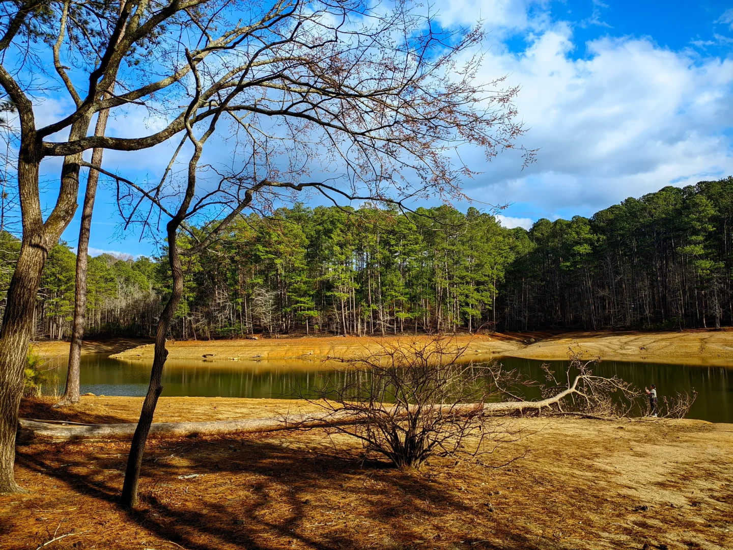 Recommended Weekend Trails in Atlanta (Part 1)