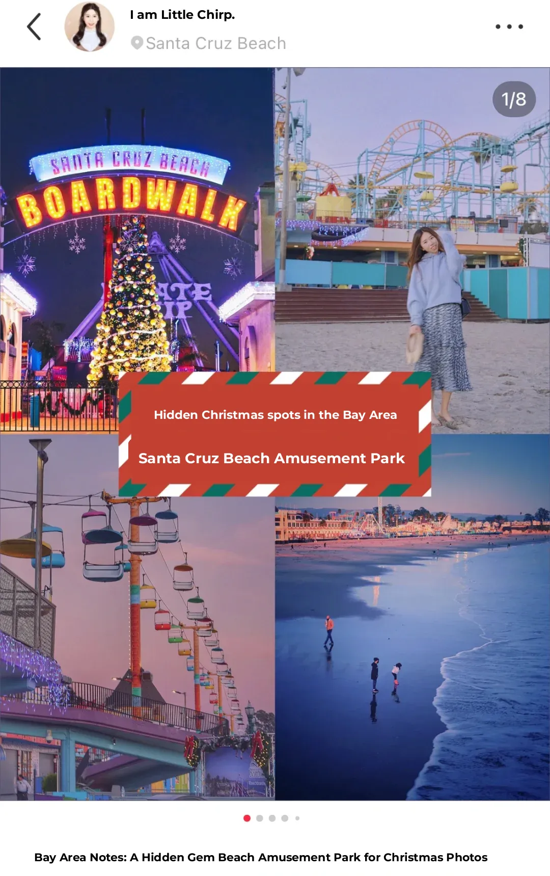 Bay Area | Santa Cruz Must-Visit Spots: All-in-One Guide for Food, Fun, and Adventure