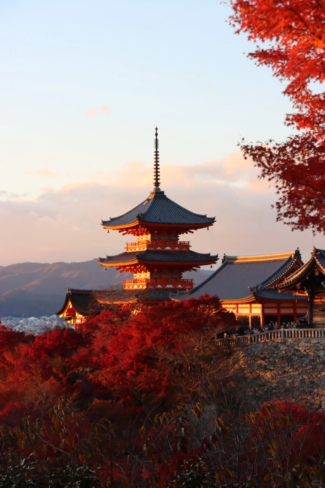 8-Day Kyoto Maple Madness: Tips & Tricks