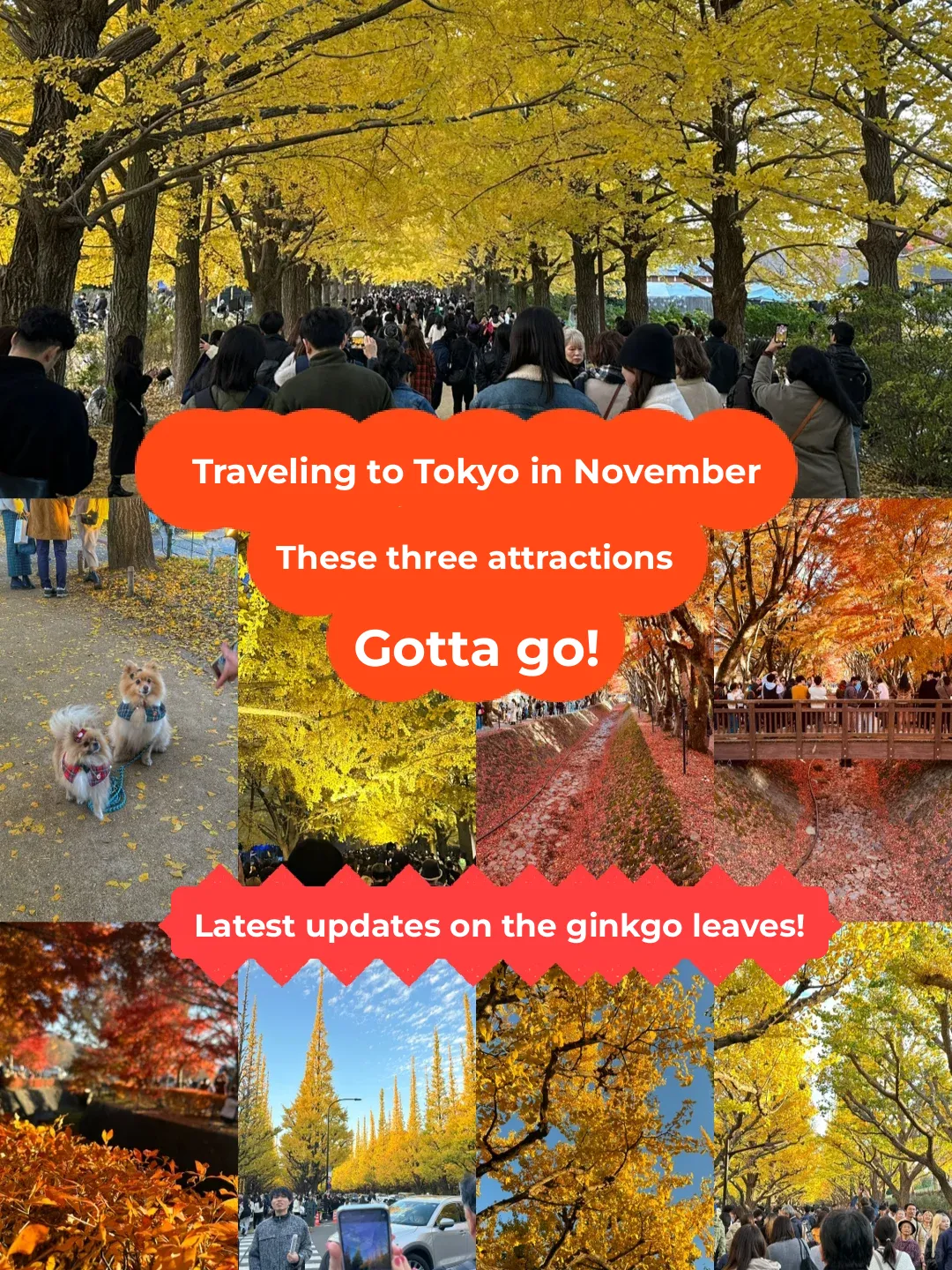 Here's the translation of the social media post title: