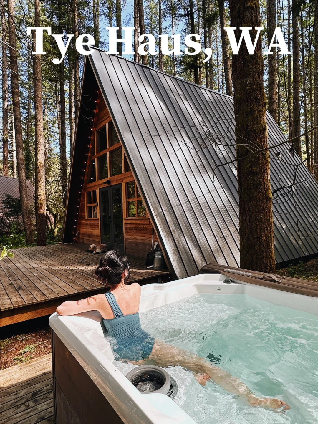 Seattle Area | Healing Mind and Body in a Forest Cabin 🏡