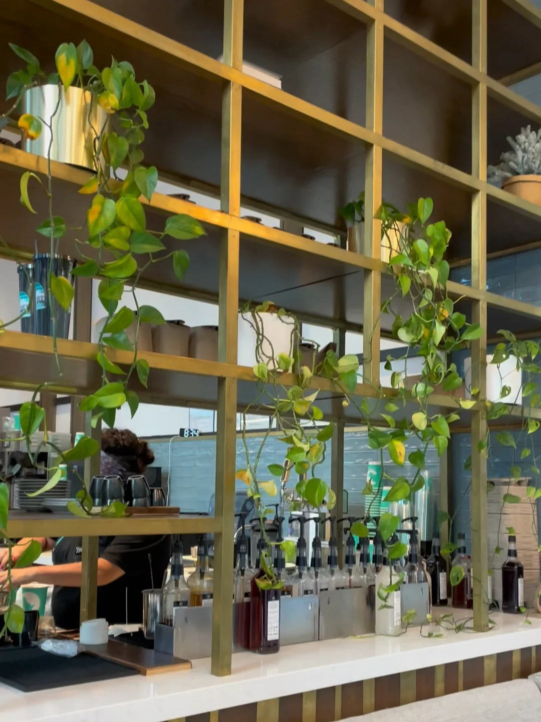 Dallas Downtown Coffee Shop: The White Rhino in the Bustling City