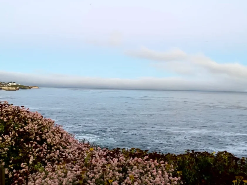 "Santa Cruz: A Breathtaking Sanctuary! No Arguments Allowed!"