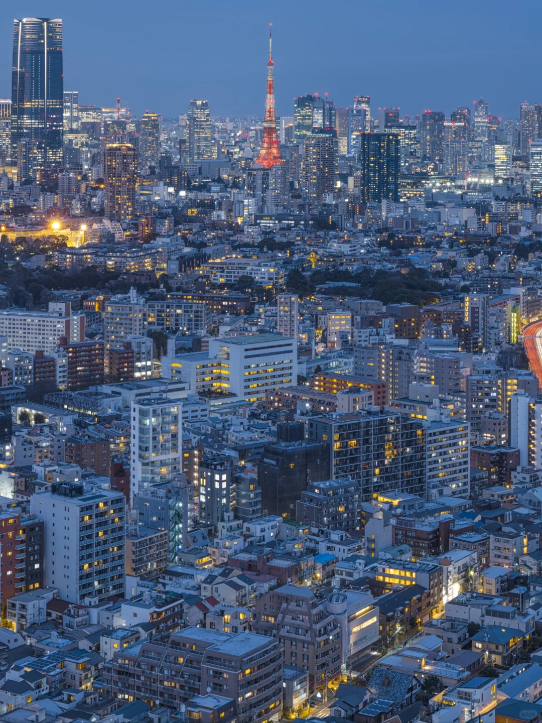 The Ultimate Free Night View in Tokyo (Swipe Right for Live Shots)