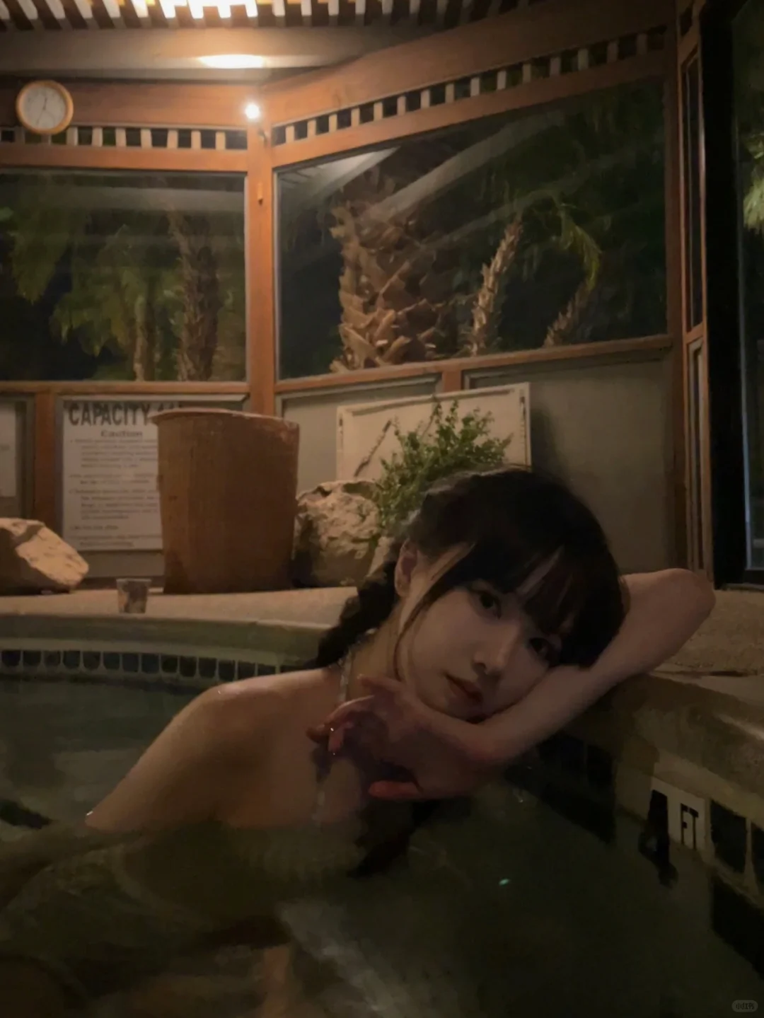 Palm Springs Hot Spring Inn