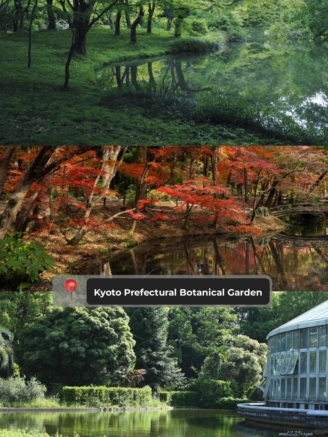 Kyoto | Been Here a Bunch of Times, These Are My 1️⃣4️⃣ Hidden Gems! ‼️