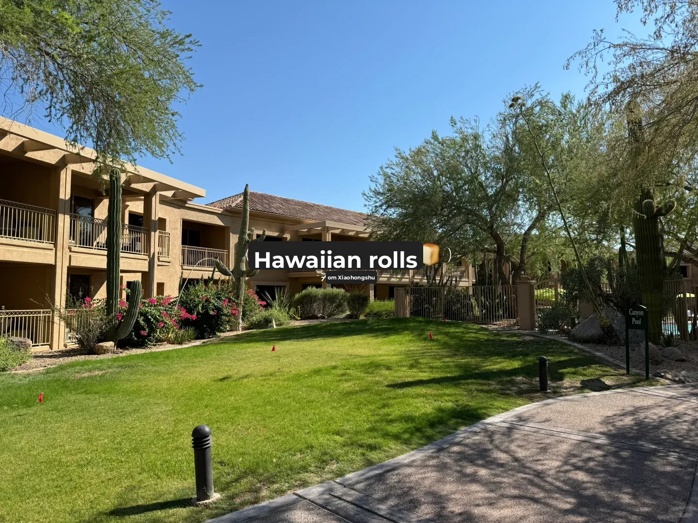 Arizona Phoenix Resort: Canyon Suites