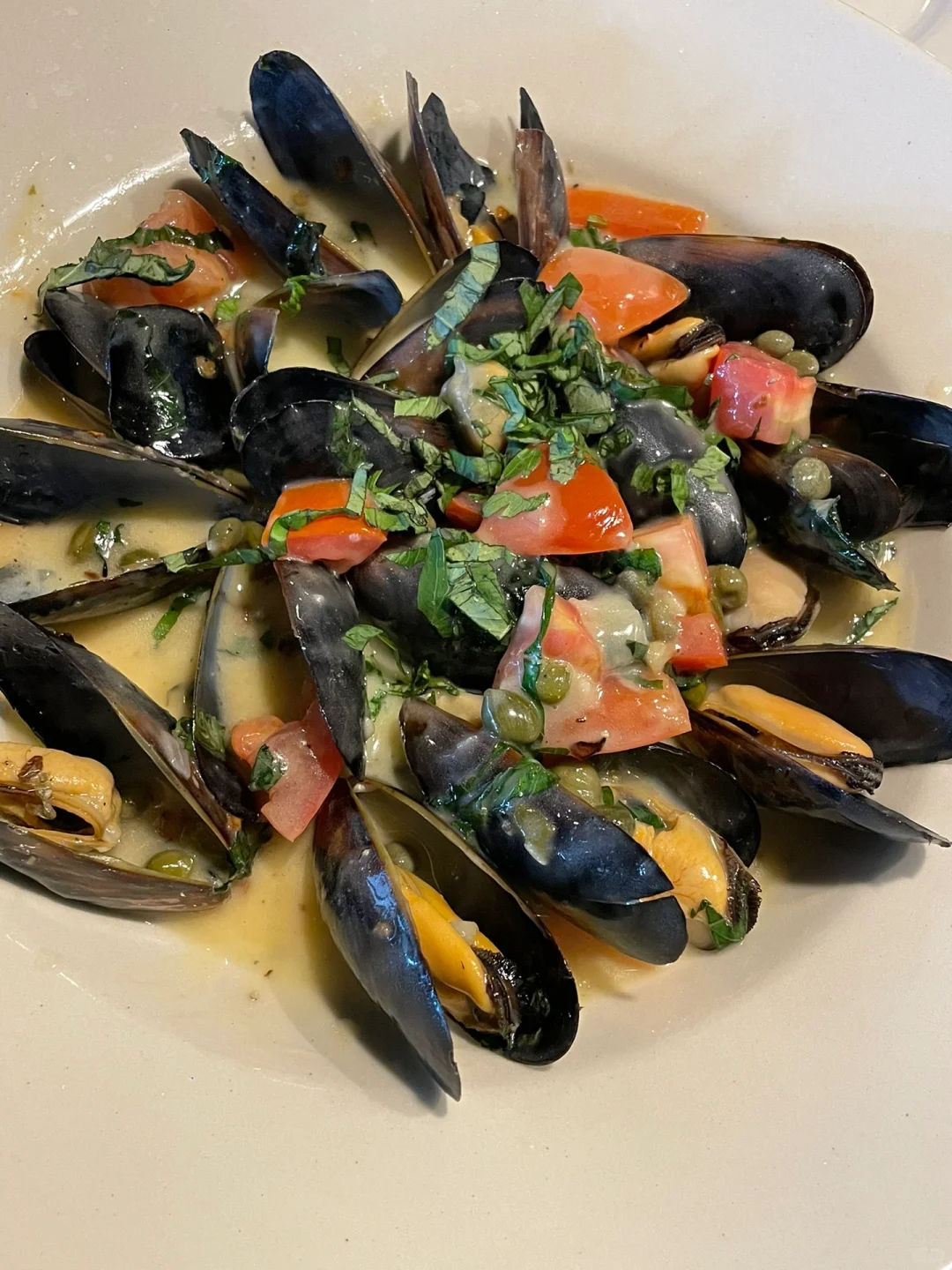 Houston‼️ A Hidden Gem of a Highly-Rated Italian Restaurant 💐