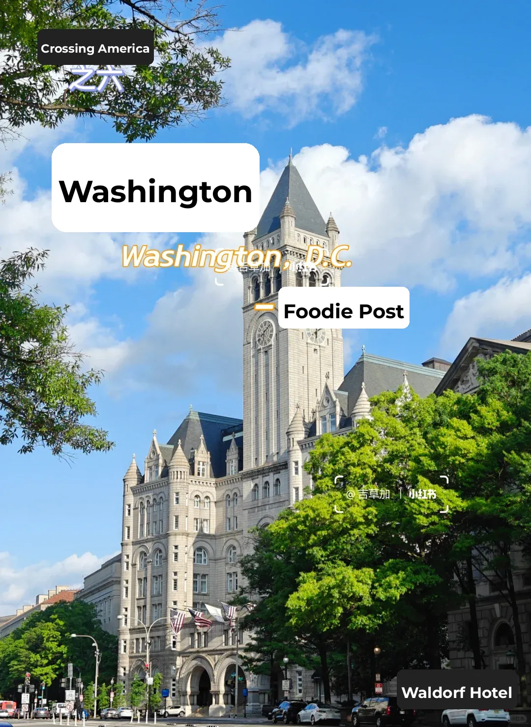 Washington: Beyond Museums, a Culinary Adventure Awaits