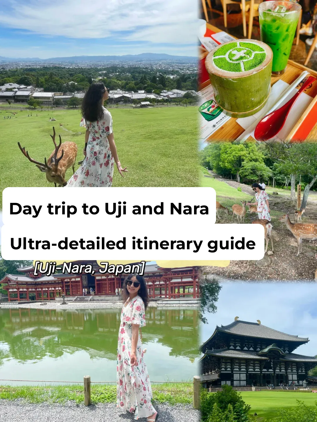 Japan | Uji & Nara One-Day Trip: Ultra-Detailed Itinerary Guide