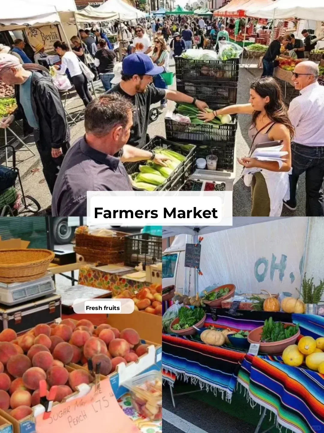 Must-Visit Hidden Gems in the U.S. You'll Regret Missing for a Lifetime‼️