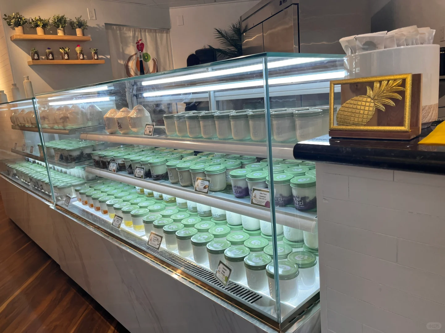 New Coconut Jelly Shop in Bellevue 😐 I'm Already Giving It a Thumbs Down