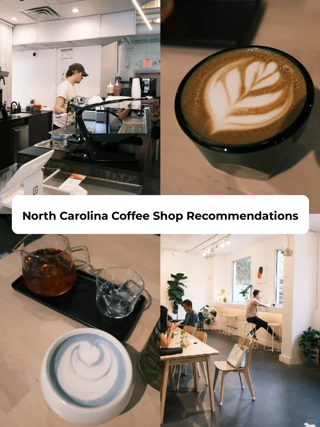 North Carolina Eats｜Try the Blue Coffee at Iris Coffee Lab