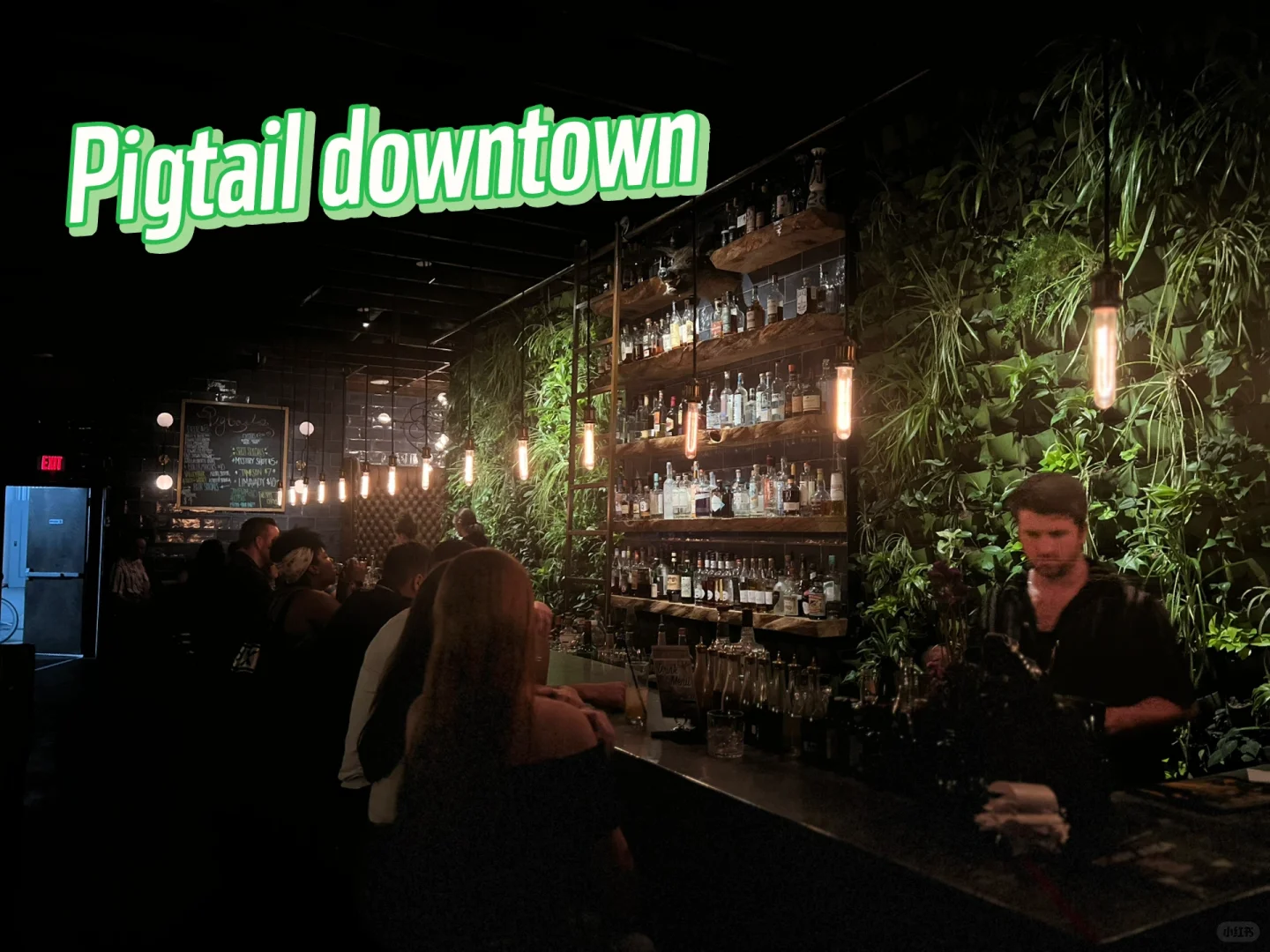 Pigtail Downtown — Phoenix's Hidden Gem: The Pig Tail Bar