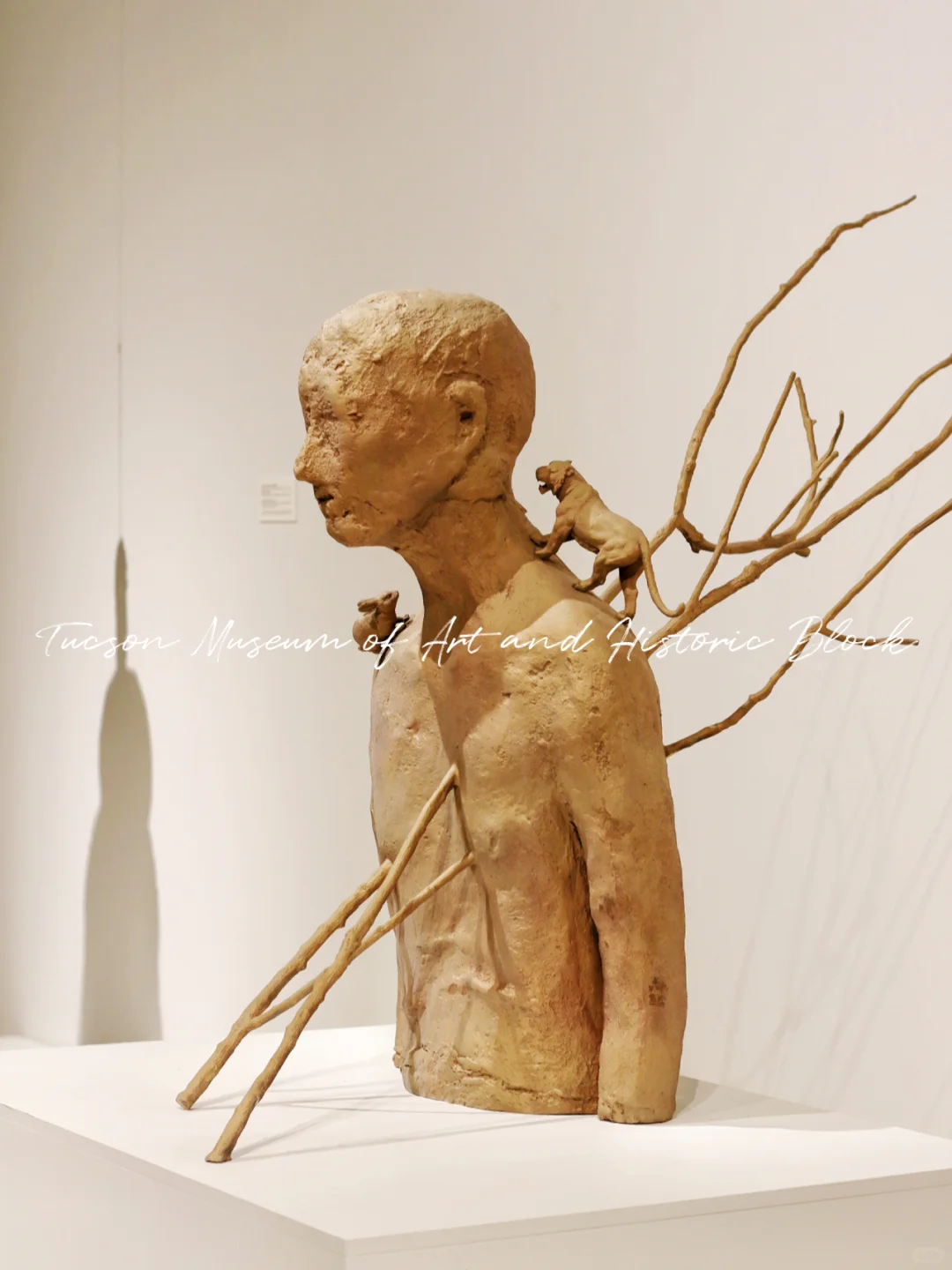 👀 Tucson｜Three Treasures of the Museum: Yuan Blue-and-White Porcelain, Ancient Houses, and Ramps