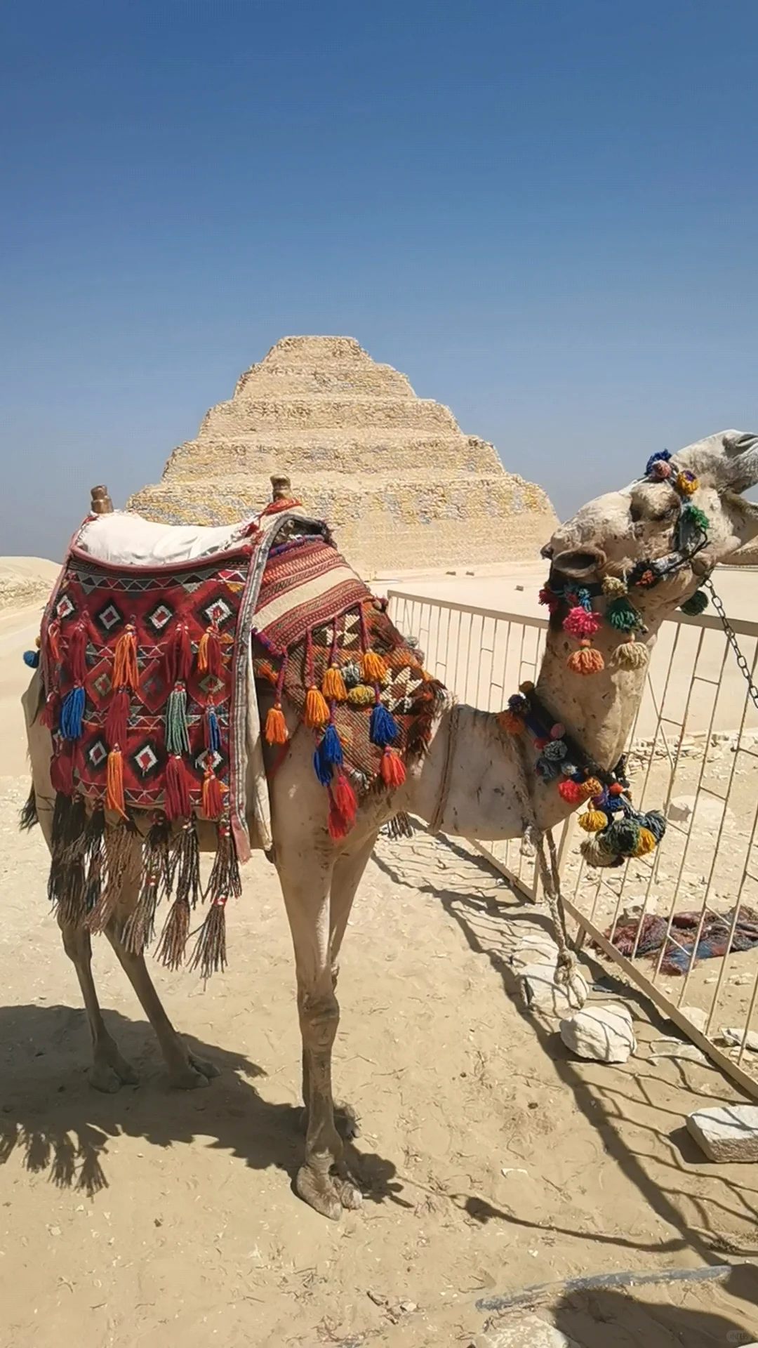 Day 2 | A Day Trip to the Pyramids