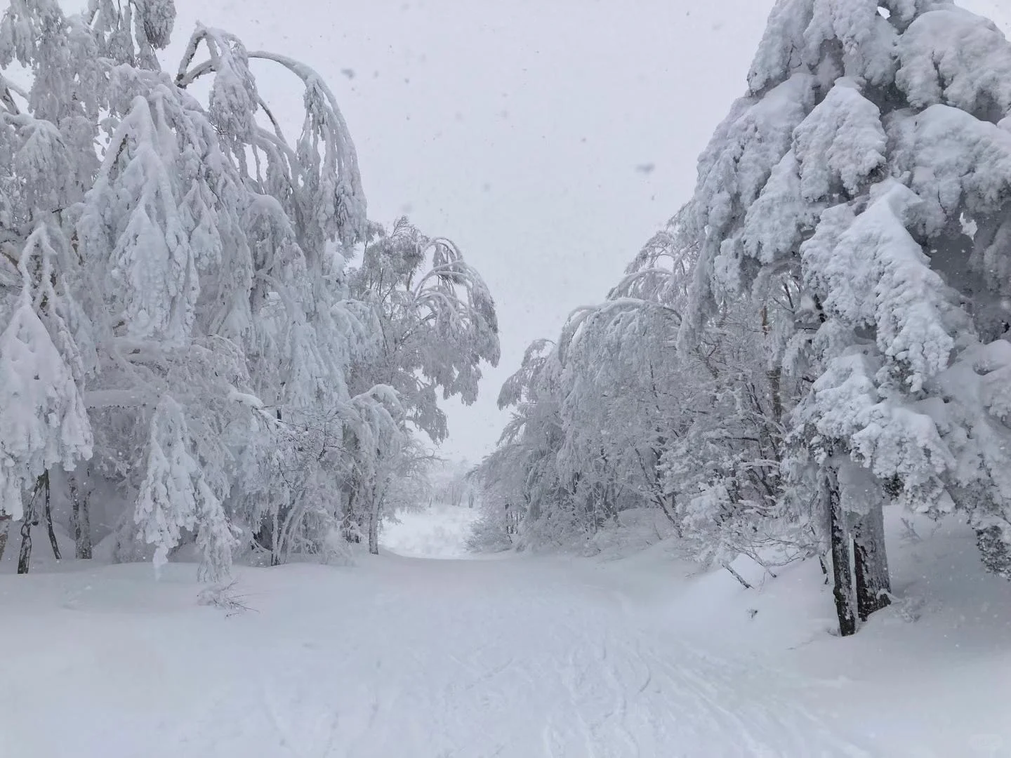 Looking for someone to hit the slopes with this ski season! 🏂