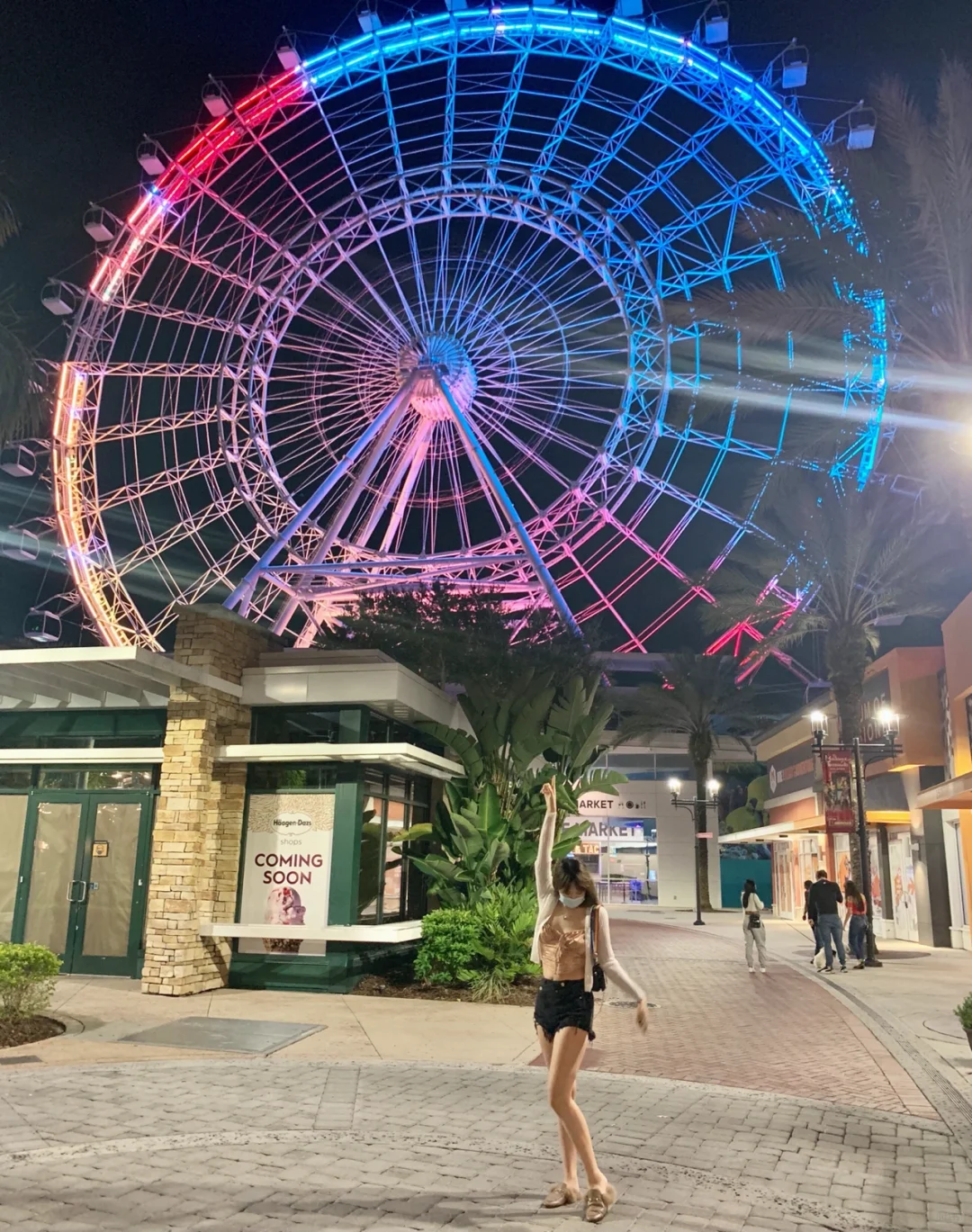 Orlando Ferris Wheel, Delicious Food, and Nighttime Vibes