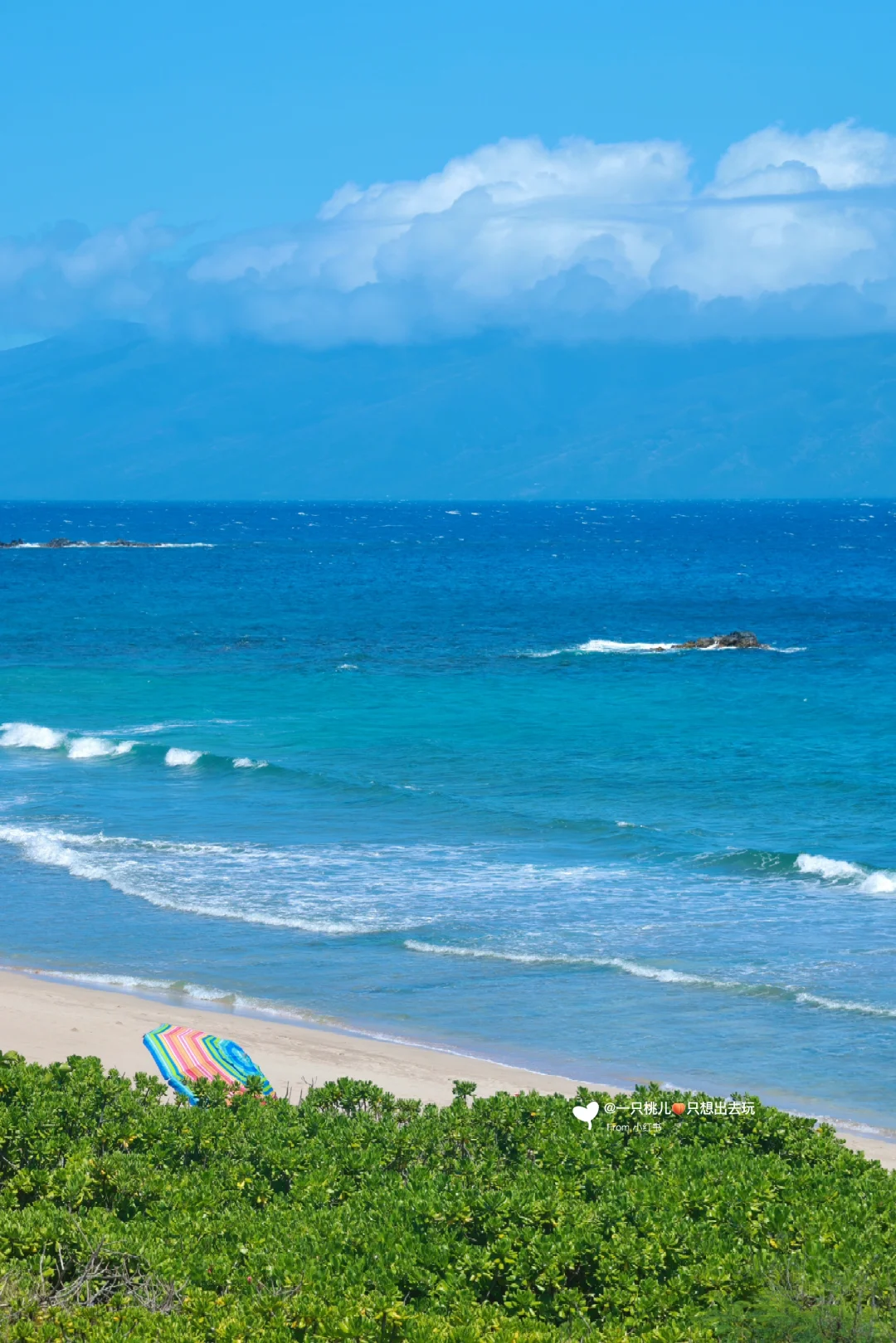 Maui丨Discovering the Stunning Jelly Sea in Maui 🩵💙