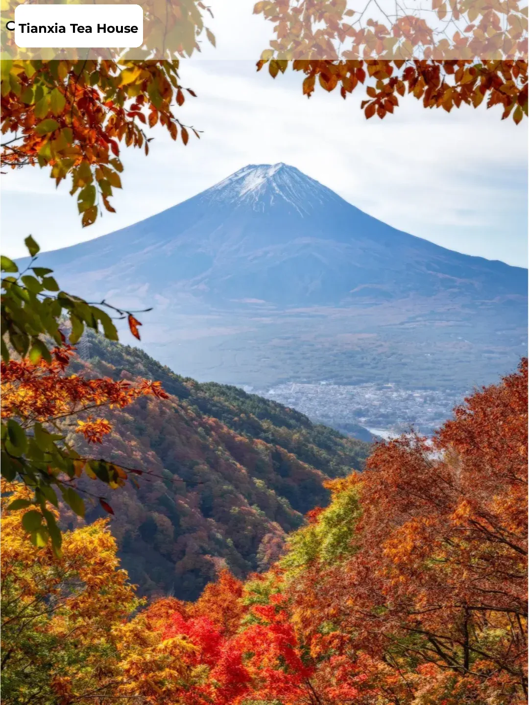 🗻 Lake Kawaguchi is about to get even more stunning than you can imagine 🍁