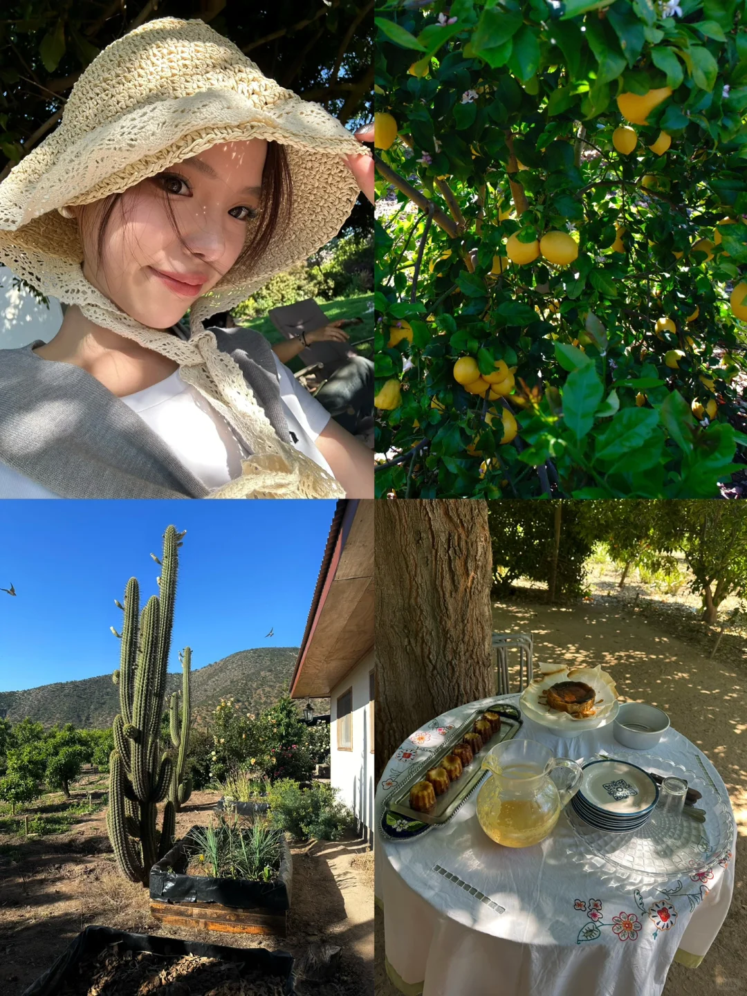 🇨🇱 Dream Life｜My First Farm Experience