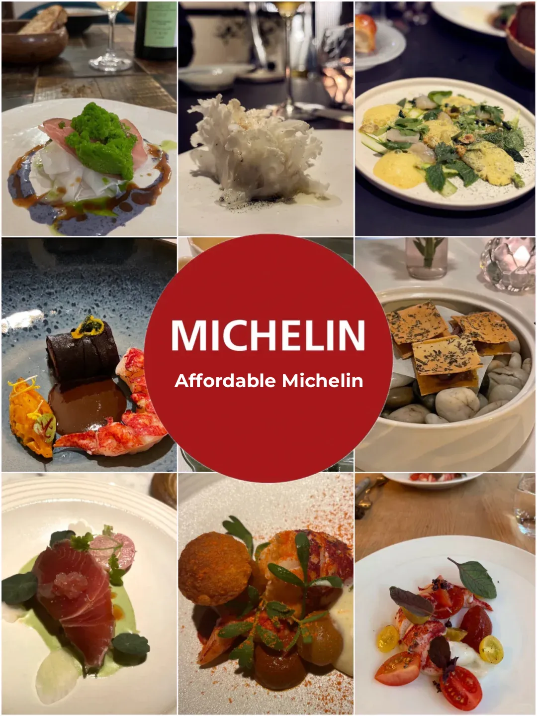 What to Eat in Paris❓20 Affordable Michelin-Starred Restaurants Roundup 🍴
