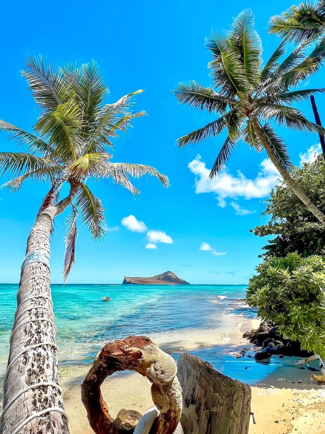 Due to Hawaii's Current Weather Situation!! Hotel Prices Are Plummeting and Getting Red Hot 😭