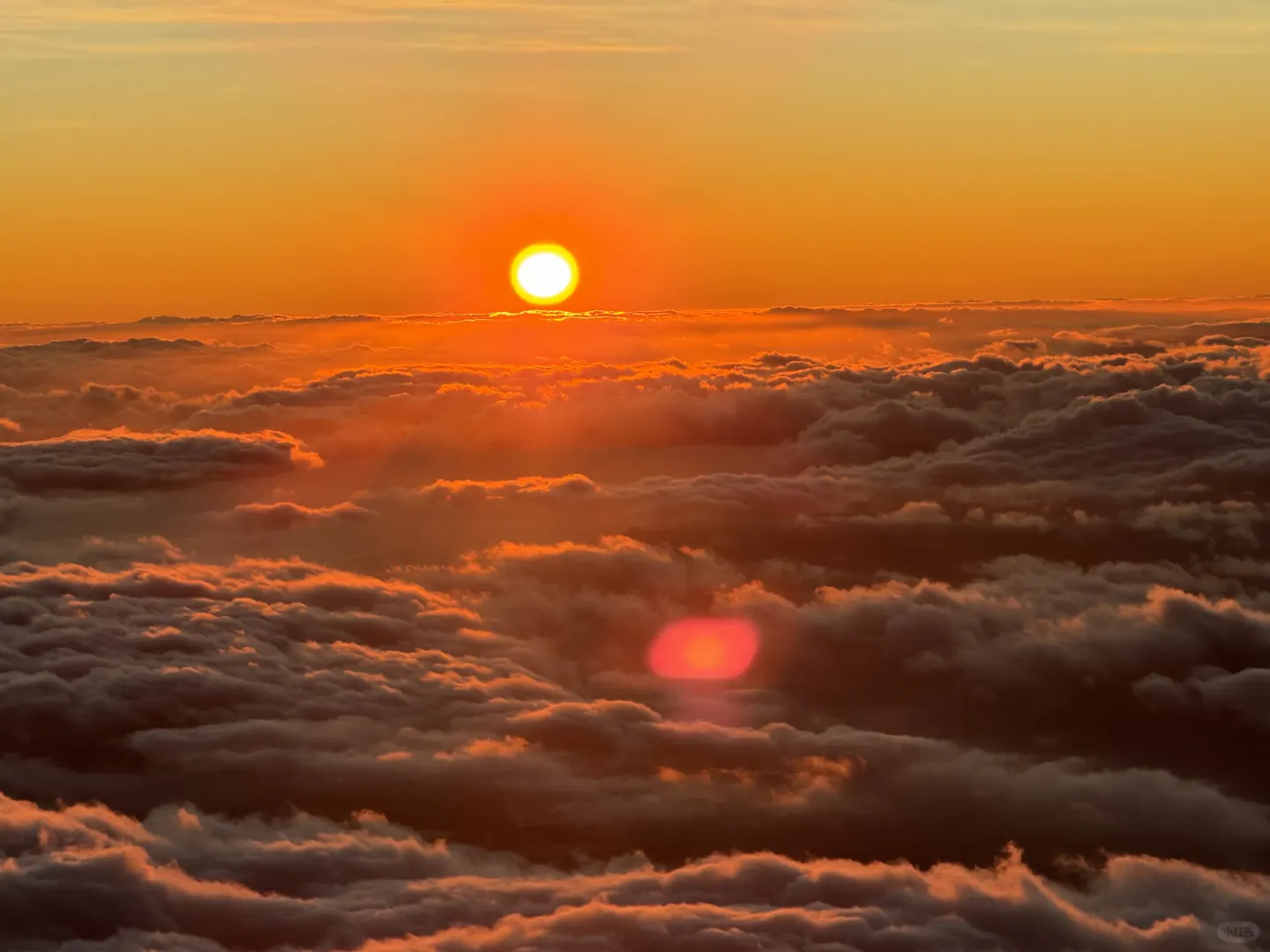 Cruise Chronicles: Maui, Hawaii