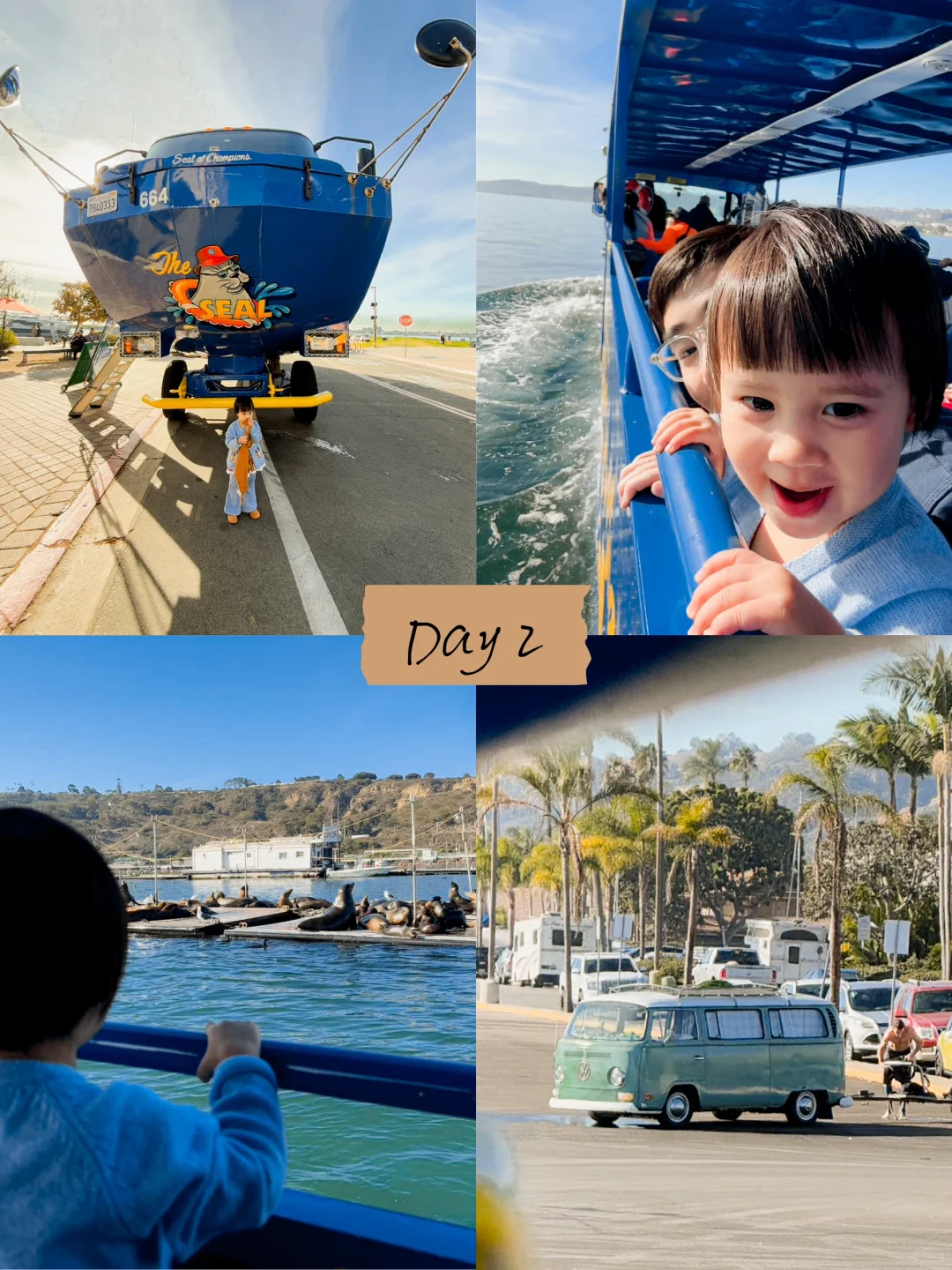 San Diego | A Relaxing and Off-the-Beaten-Path Way to Explore with Kids 🦭