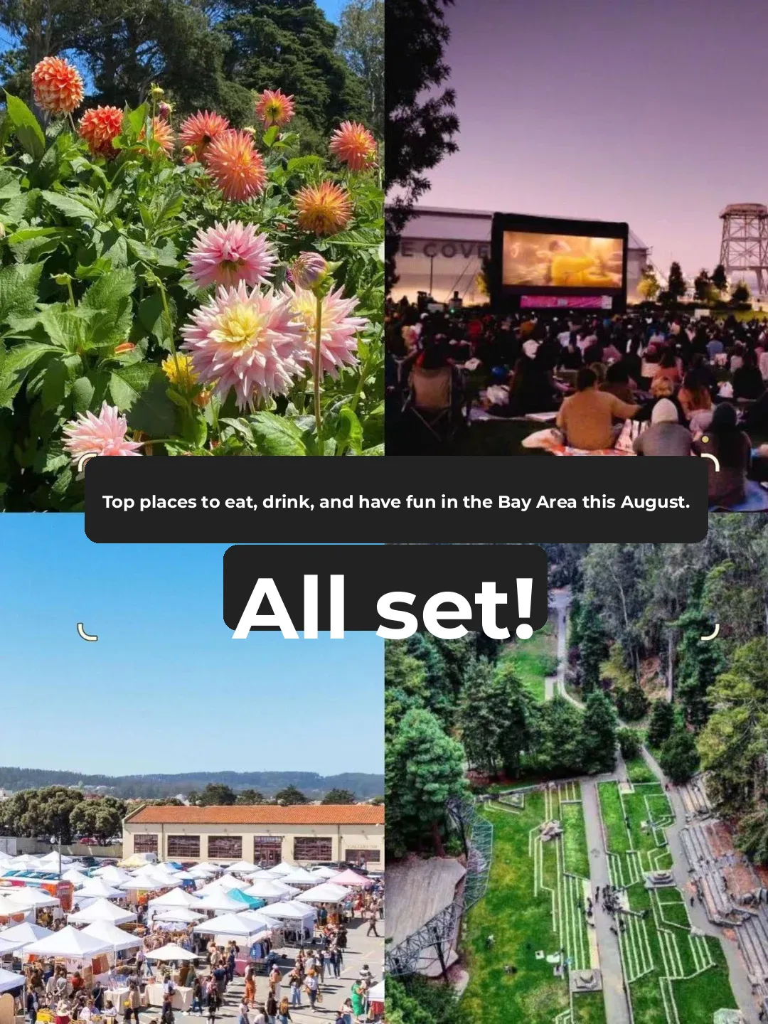 Bay Area August Hotspots for Food, Fun, and Adventure | All Wrapped Up! 🩵💚💛