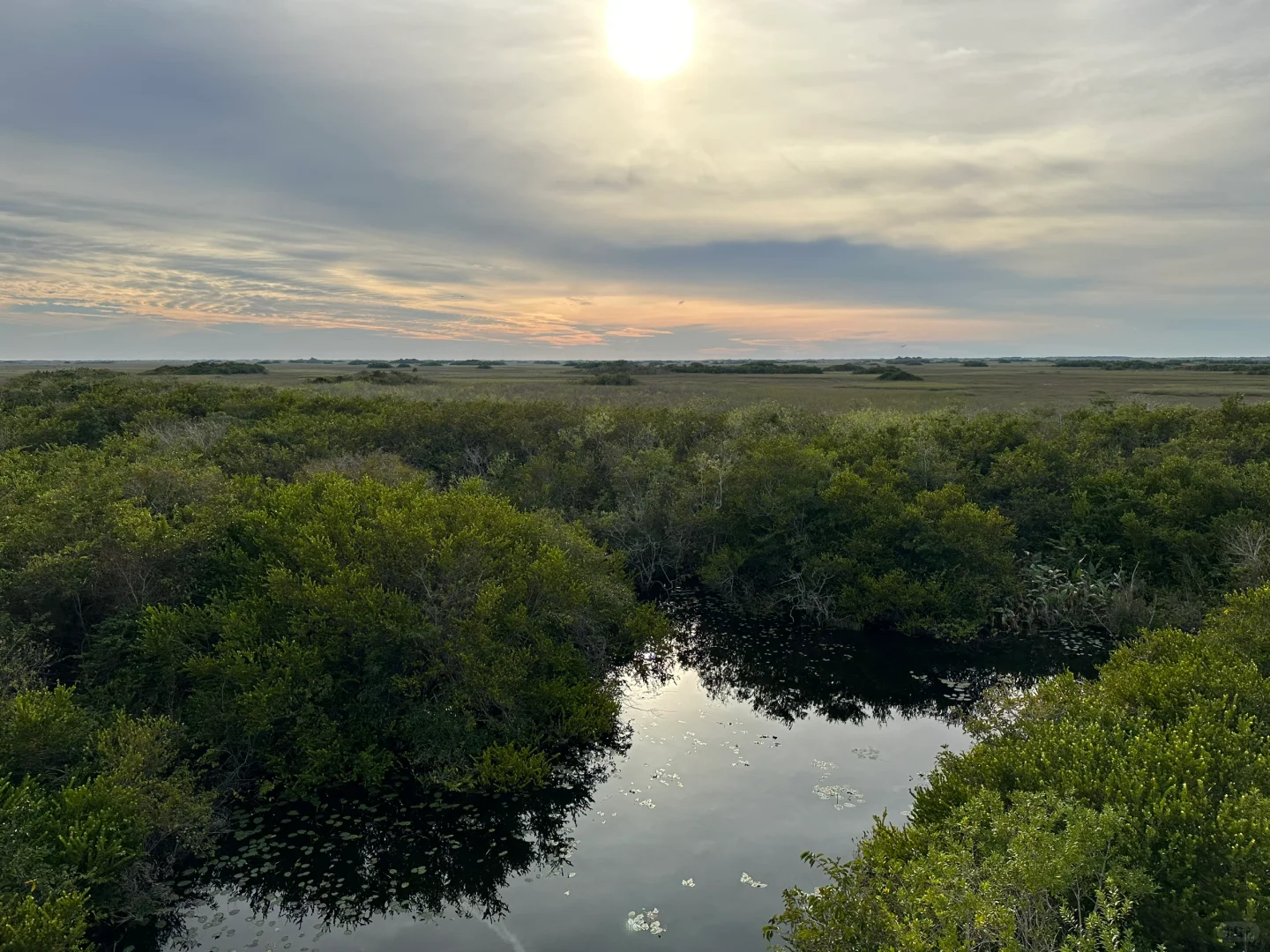 Miami Everglades National Park Guide