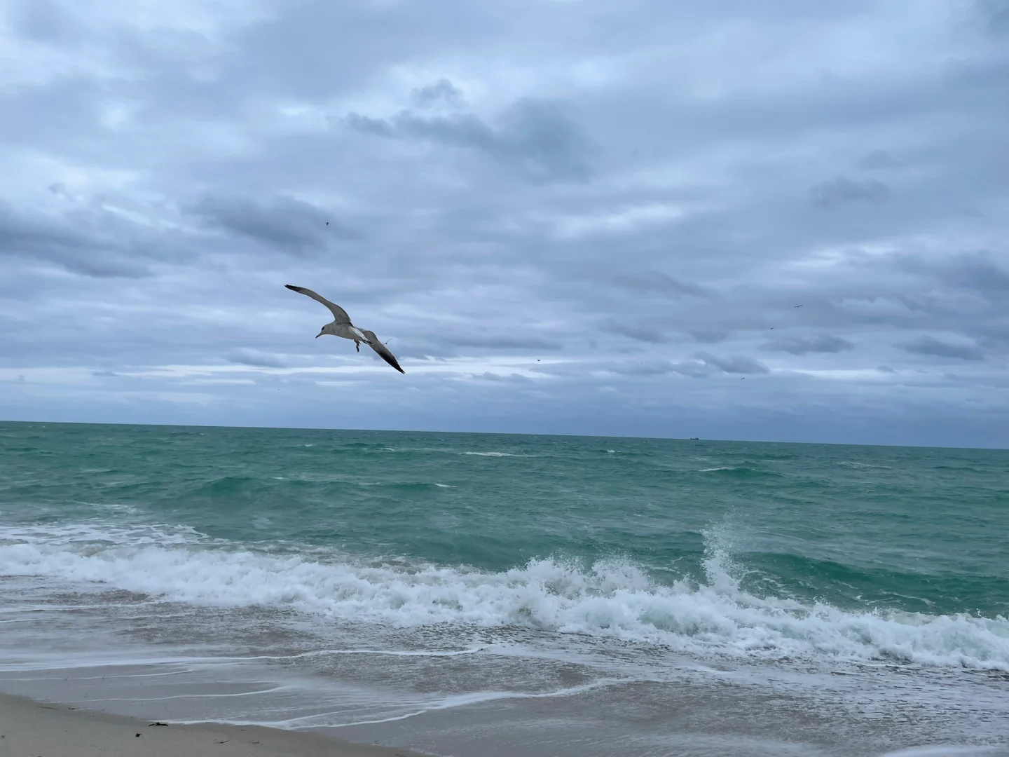 Just four days in, and I can't help but rant about Miami!