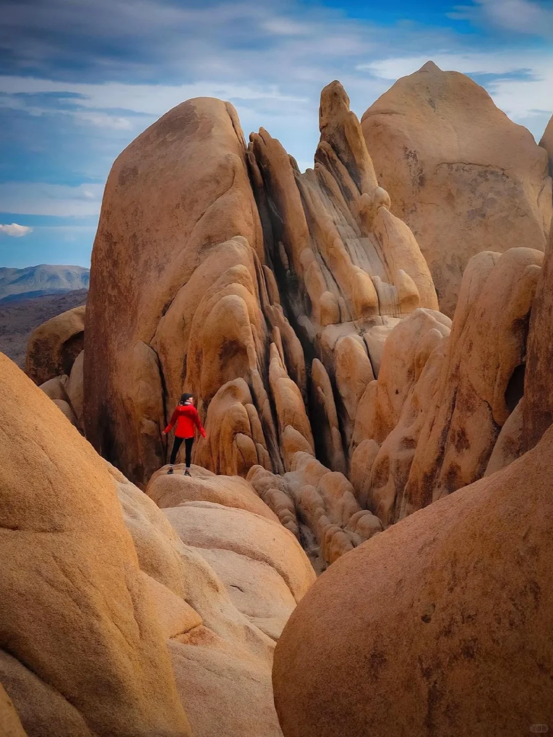 Life Hack: The Must-Visit Weird World in California You'll Regret Skipping