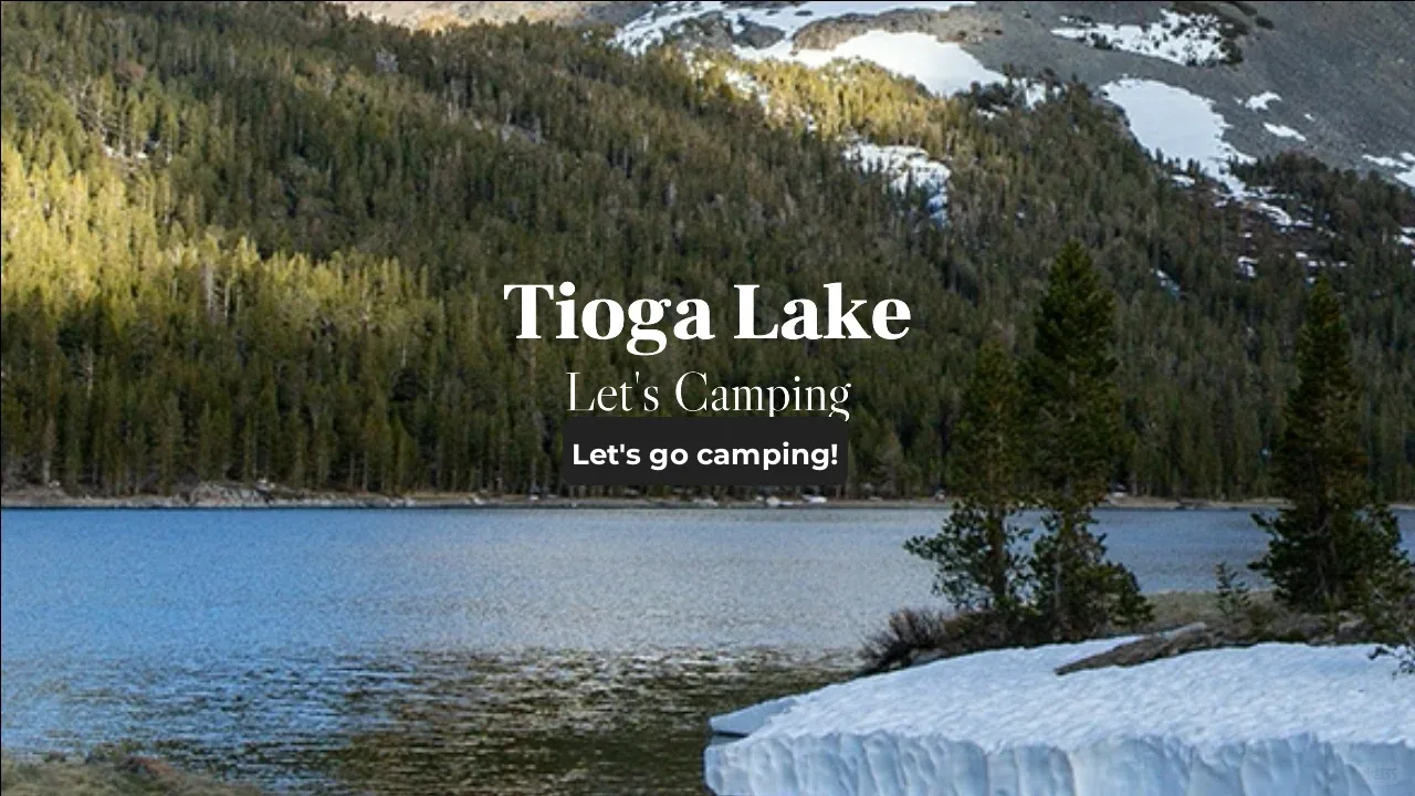 Where to Go Camping in California This Summer? Look Here!