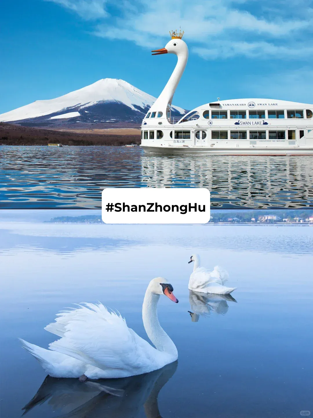 Japan's Mount Fuji Day Trip Guide 🗻 Ultimate Adventure for Thrill-Seekers!