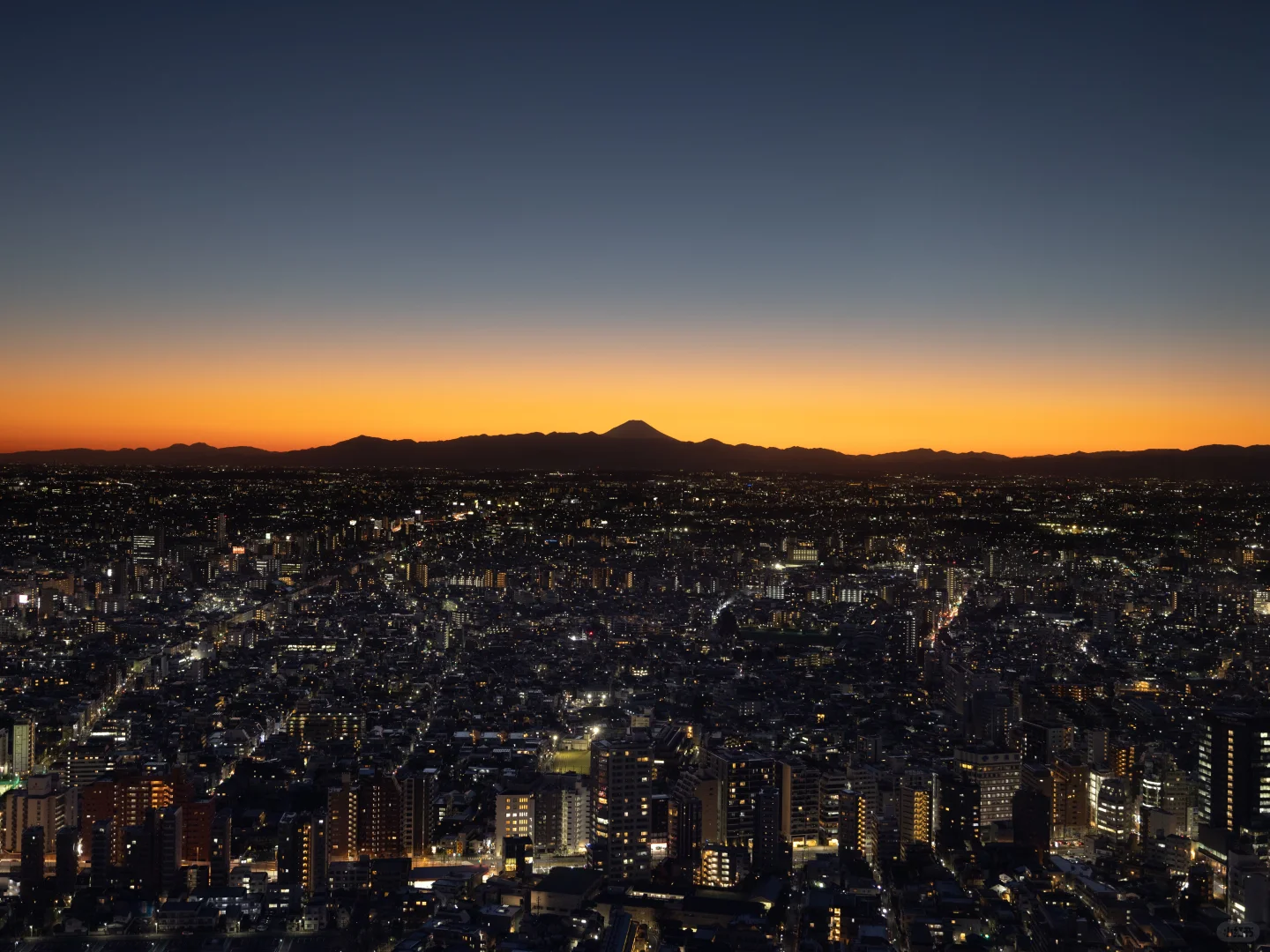 Fortunate Enough to Capture Tokyo and Mount Fuji in a Single Frame During the Majestic Blue Hour