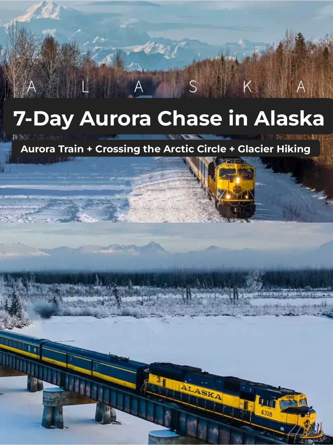 Alaska Aurora Train 🚄 A Must-Do Experience in a Lifetime ‼️