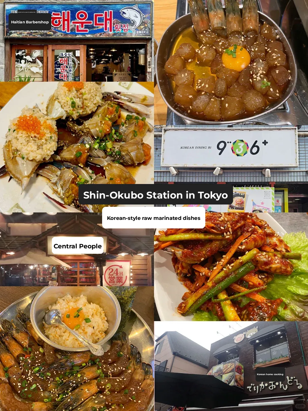 Tokyo's Shin-Okubo Station: A Pretty Decent Korean Sashimi Place!!