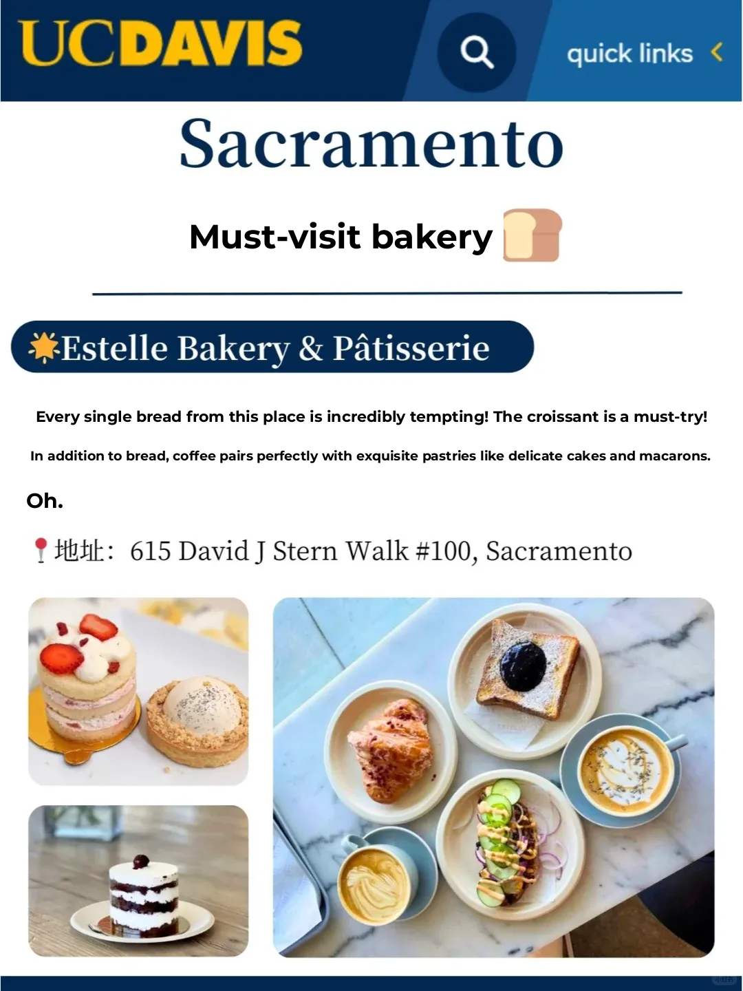 Sacramento Bakery 🍞 Sweet Treasure Guide