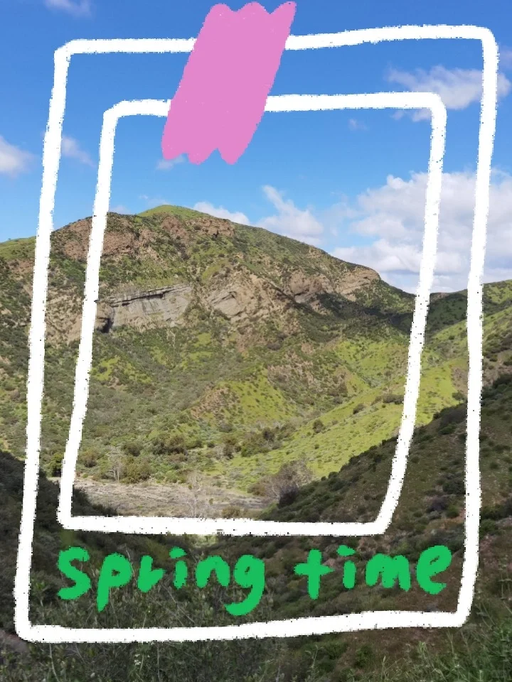 LA Spring Vibes | Weekend Hike