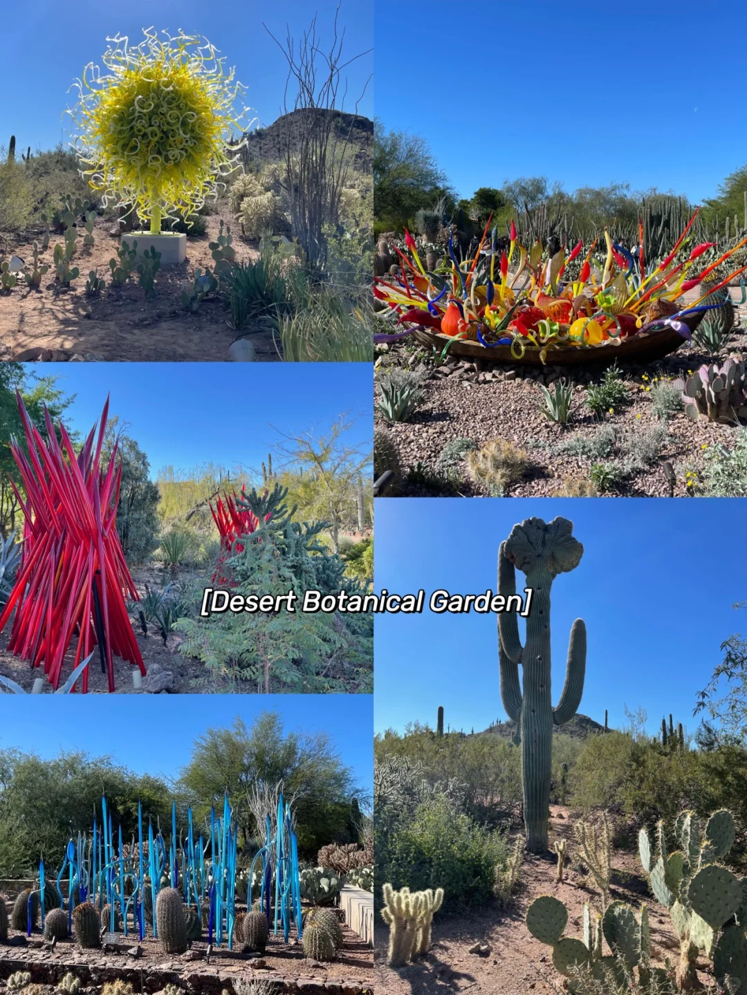 Phoenix/Scottsdale | The Ultimate Guide to Instagram-Worthy Photo Spots