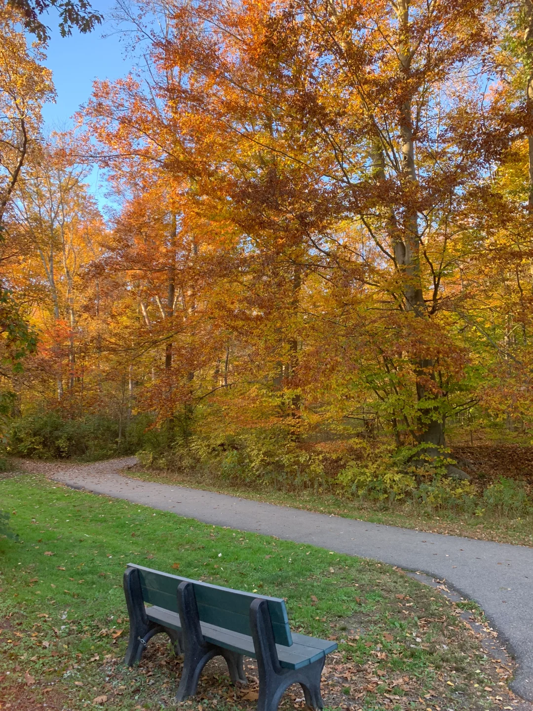 Top Spot for Family Fun in NJ: Fall Foliage Rivals Vermont, Highly Recommended