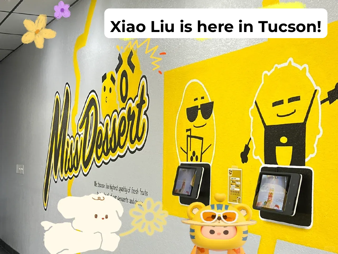 Tucson Food Exploration #26 - Little Durian, Big Mango