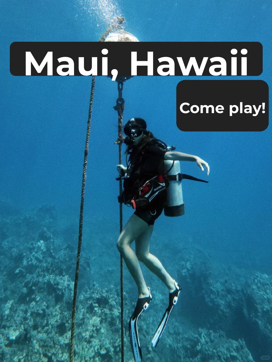 5 Must-Do Activities in Maui, Hawaii 🌴🌺