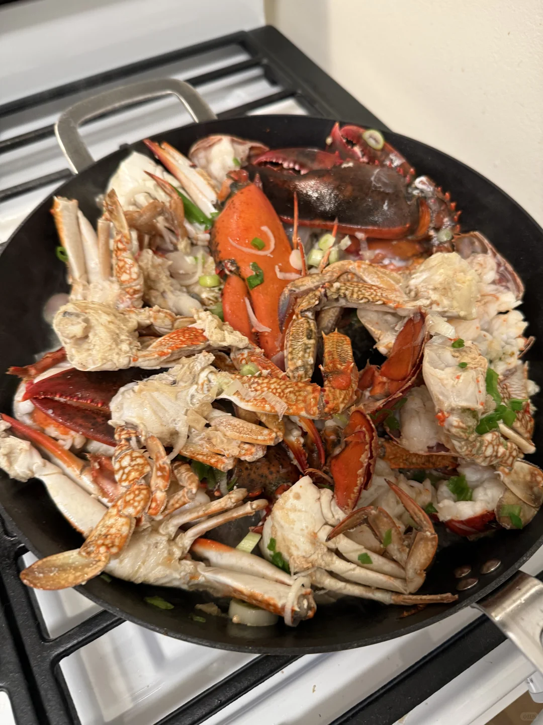 Cut Off from Ratatouille #46